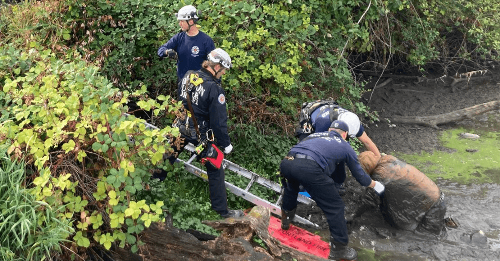 Escaped Murder Suspect Rescued After 12 Hours Stuck in Mud