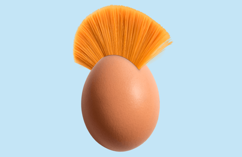 Egg Punk Delivers A Nerdy Twist to Punk Rock Roots