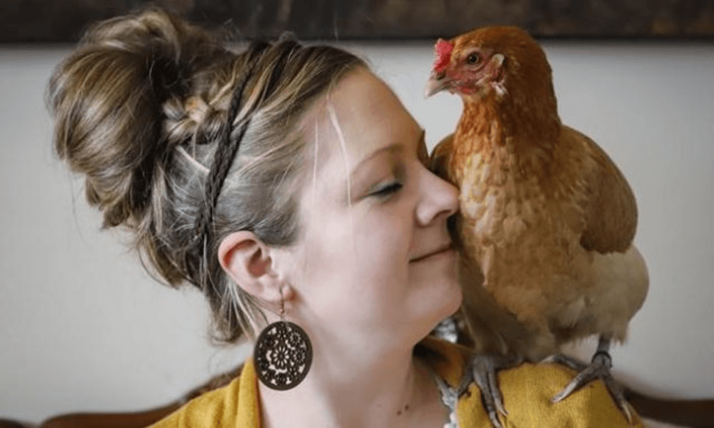 Canada emotional support chicken