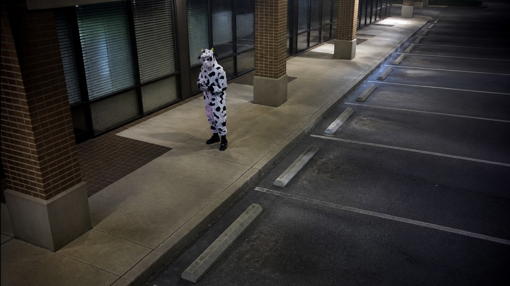 Smyrna Police Seek a Cow-Onesie Figure Seen Before a Vape Shop Break-In